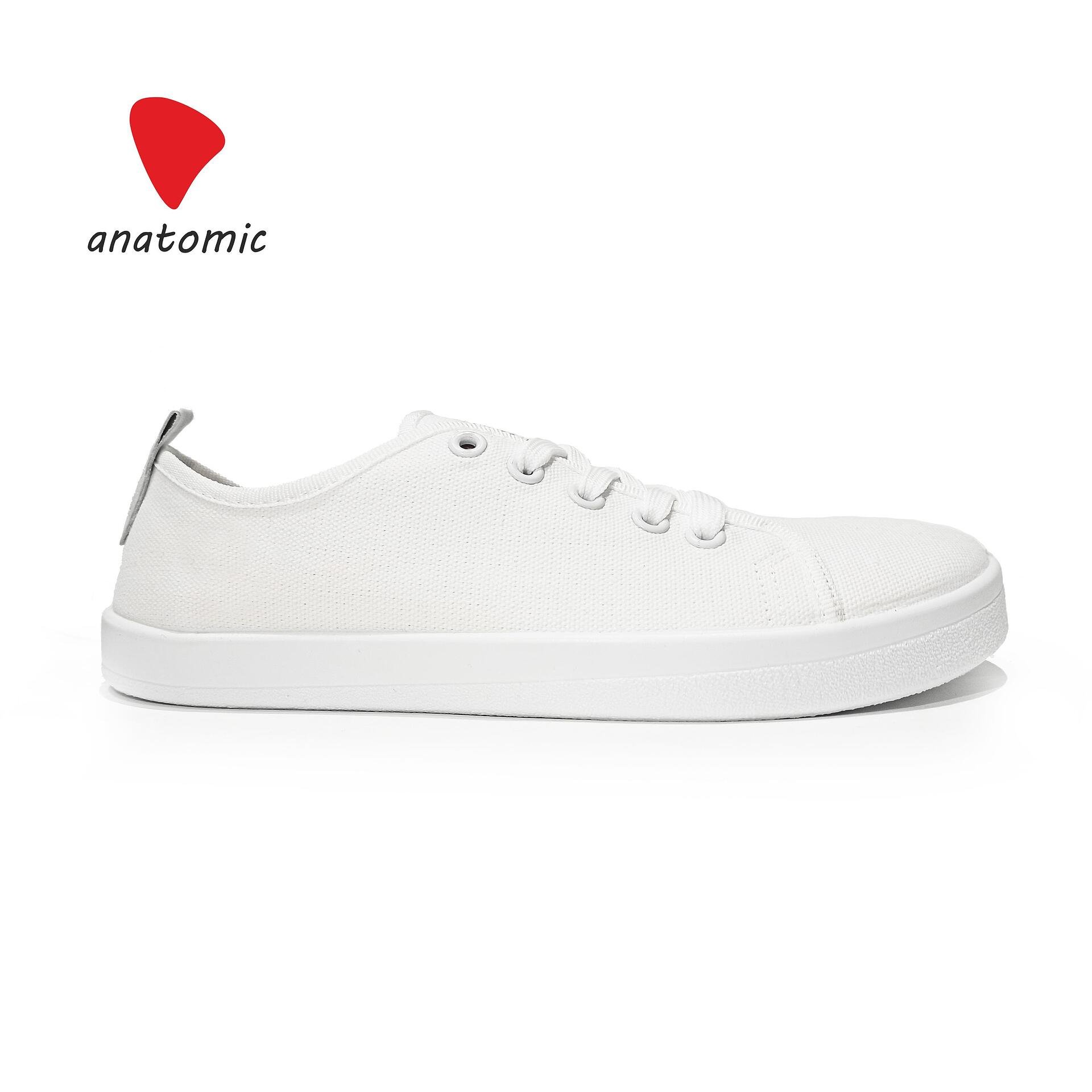 Anatomic Lex ANATOMIC STARTER A07